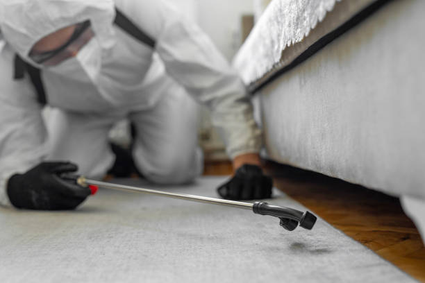 Professional Bed Bug Control technician working in St. Anthony, MN